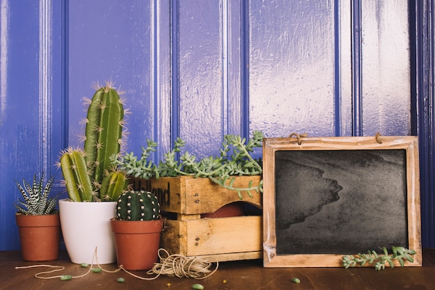 Jak wybrać odpowiednią odzież outdoorową na zmienne warunki pogodowe?